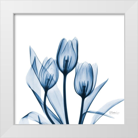 Tulips Indigo White Modern Wood Framed Art Print by Koetsier, Albert