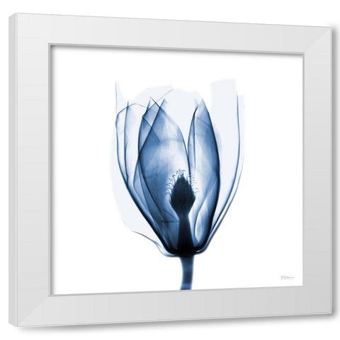 Magnolia Indigo White Modern Wood Framed Art Print by Koetsier, Albert