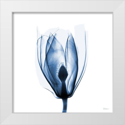 Magnolia Indigo White Modern Wood Framed Art Print by Koetsier, Albert