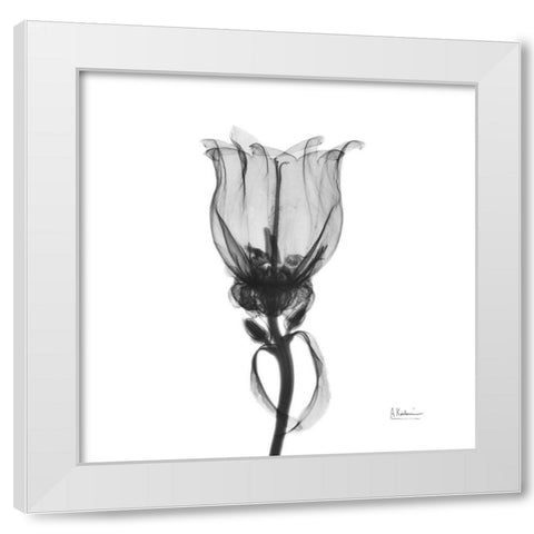 Canterbury Bell White Modern Wood Framed Art Print by Koetsier, Albert