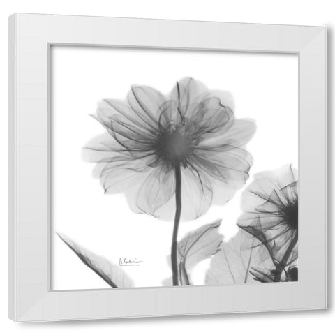 Dahlia Twins White Modern Wood Framed Art Print by Koetsier, Albert