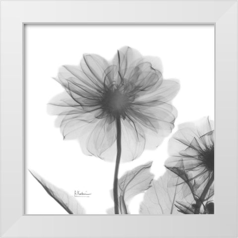 Dahlia Twins White Modern Wood Framed Art Print by Koetsier, Albert