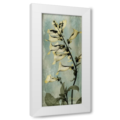 Golden Foxglove White Modern Wood Framed Art Print by Koetsier, Albert