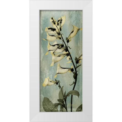 Golden Foxglove White Modern Wood Framed Art Print by Koetsier, Albert