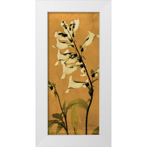 Golden Foxglove White Modern Wood Framed Art Print by Koetsier, Albert