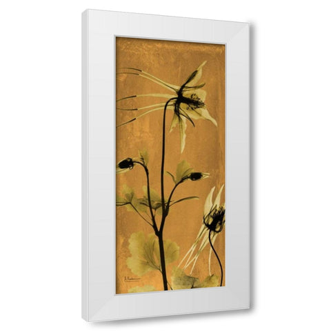 Columbine White Modern Wood Framed Art Print by Koetsier, Albert