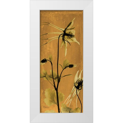 Columbine White Modern Wood Framed Art Print by Koetsier, Albert