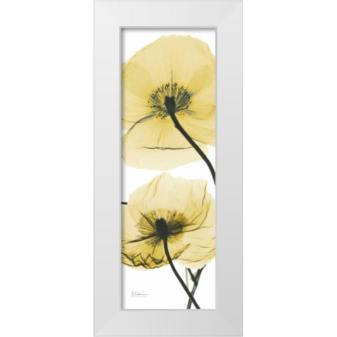 Iceland Poppy Yellow White Modern Wood Framed Art Print by Koetsier, Albert