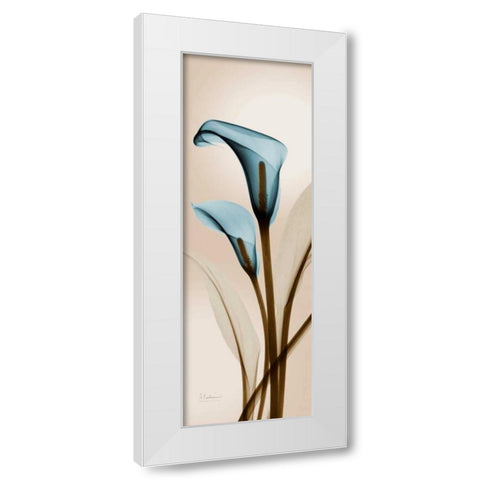 Blue Calla Lily White Modern Wood Framed Art Print by Koetsier, Albert