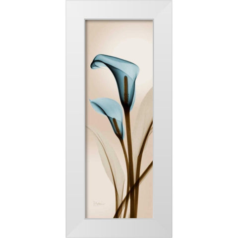 Blue Calla Lily White Modern Wood Framed Art Print by Koetsier, Albert