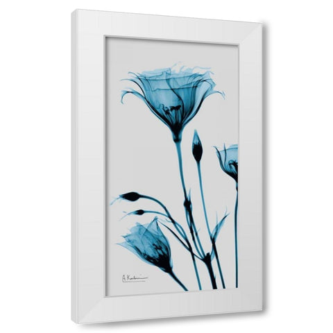 Blue Gentian White Modern Wood Framed Art Print by Koetsier, Albert