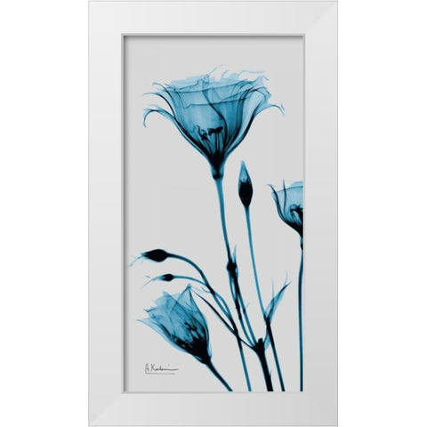Blue Gentian White Modern Wood Framed Art Print by Koetsier, Albert