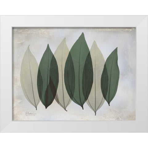 The Grays 1 White Modern Wood Framed Art Print by Koetsier, Albert