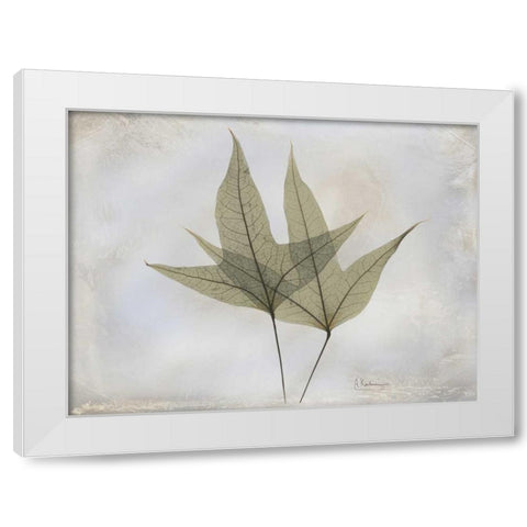 Trident Maple E217 White Modern Wood Framed Art Print by Koetsier, Albert