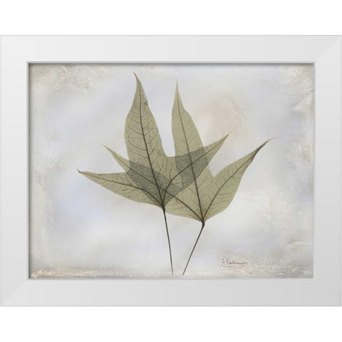 Trident Maple E217 White Modern Wood Framed Art Print by Koetsier, Albert