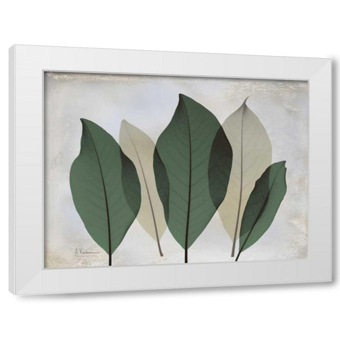 The Grays 3 White Modern Wood Framed Art Print by Koetsier, Albert