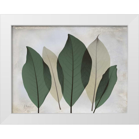 The Grays 3 White Modern Wood Framed Art Print by Koetsier, Albert