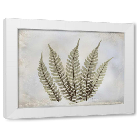 Fern White Modern Wood Framed Art Print by Koetsier, Albert