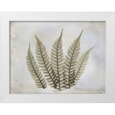 Fern White Modern Wood Framed Art Print by Koetsier, Albert