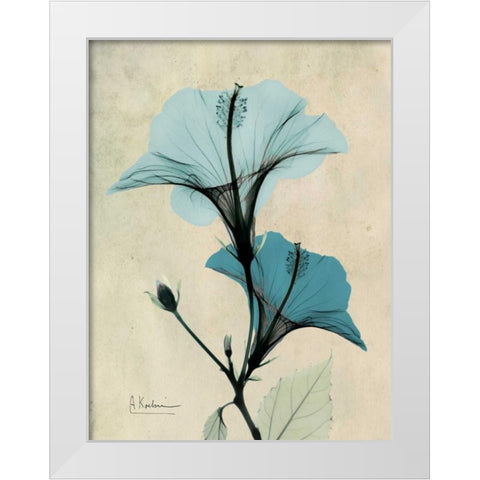 Hibiscus White Modern Wood Framed Art Print by Koetsier, Albert