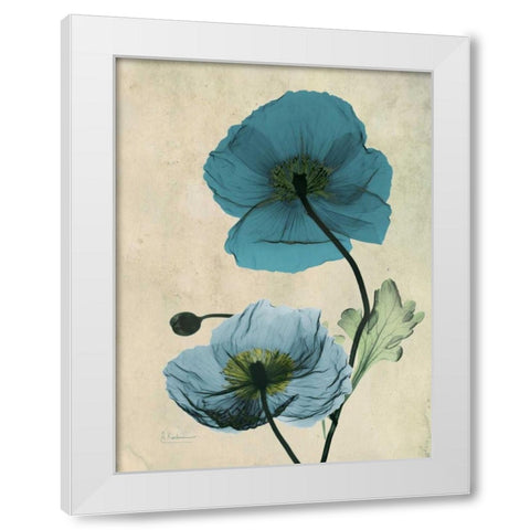 Iceland Poppy White Modern Wood Framed Art Print by Koetsier, Albert