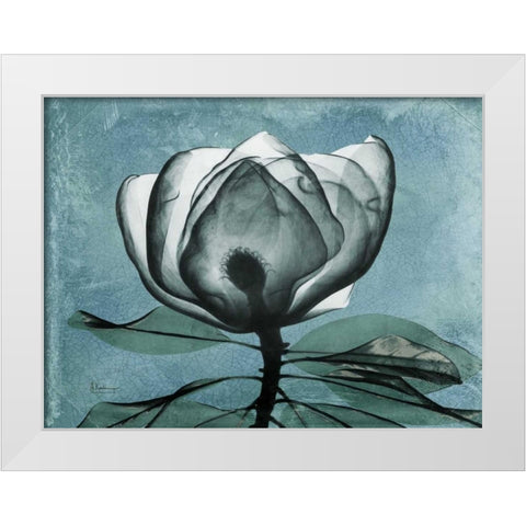 Magnolia Blues 2 White Modern Wood Framed Art Print by Koetsier, Albert