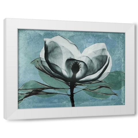 Magnolia Blues 1 White Modern Wood Framed Art Print by Koetsier, Albert