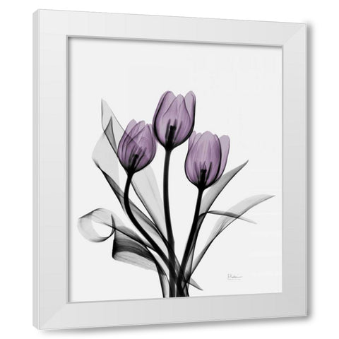 Three Purple Tulips H14 White Modern Wood Framed Art Print by Koetsier, Albert