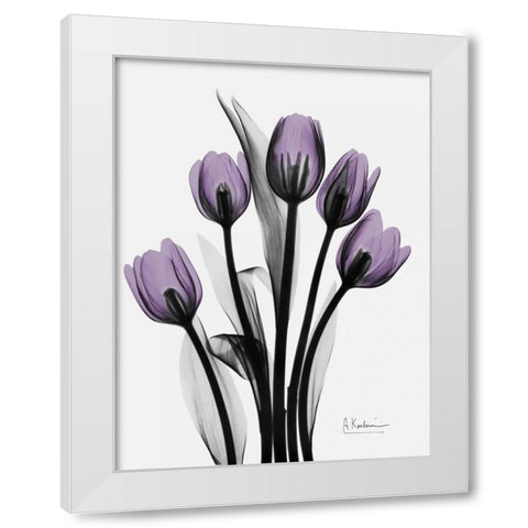 Five Tulips in Purple White Modern Wood Framed Art Print by Koetsier, Albert