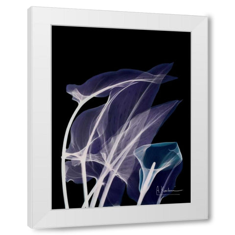 Lily Xray White Modern Wood Framed Art Print by Koetsier, Albert