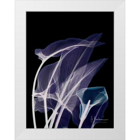 Lily Xray White Modern Wood Framed Art Print by Koetsier, Albert