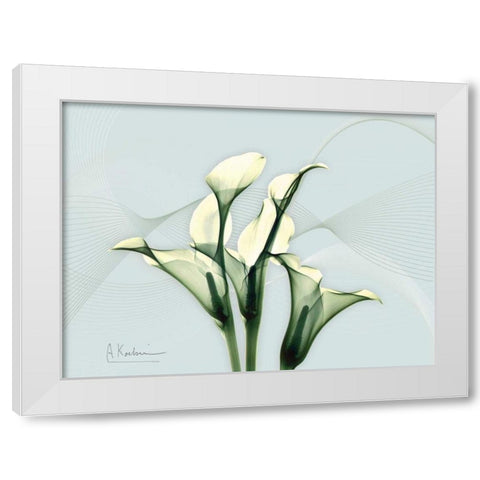 Calla Lily L275 White Modern Wood Framed Art Print by Koetsier, Albert