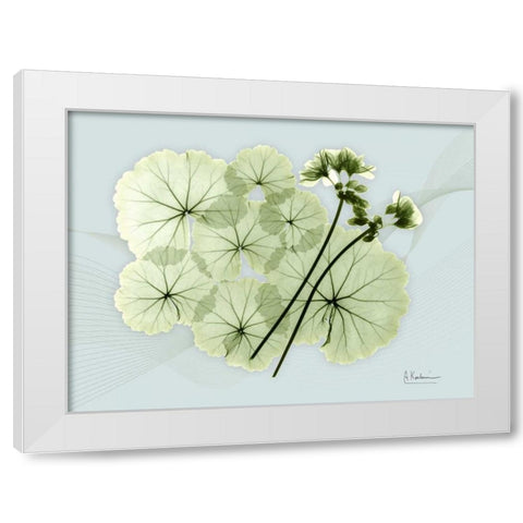 Geranium L48 White Modern Wood Framed Art Print by Koetsier, Albert