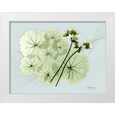 Geranium L48 White Modern Wood Framed Art Print by Koetsier, Albert