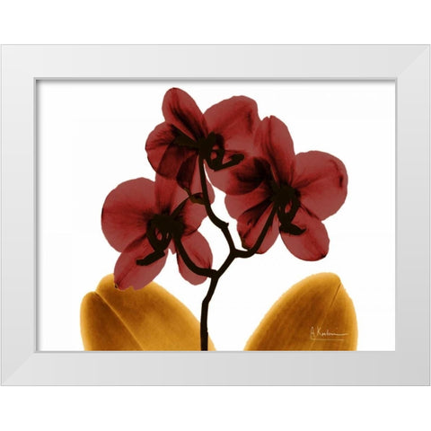 Orchid Fall White Modern Wood Framed Art Print by Koetsier, Albert