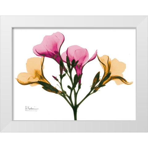 Oleander A56 White Modern Wood Framed Art Print by Koetsier, Albert