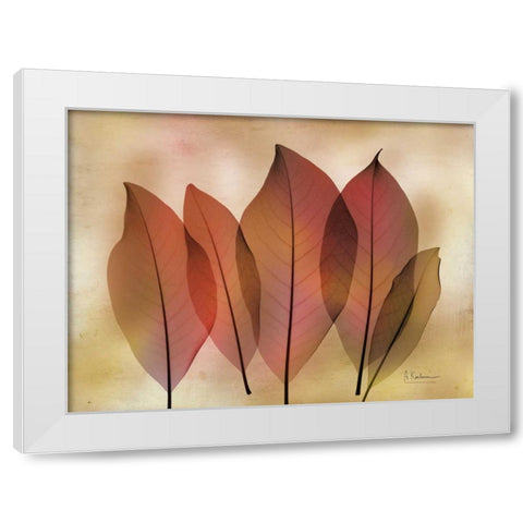 Harvest Light 2 White Modern Wood Framed Art Print by Koetsier, Albert