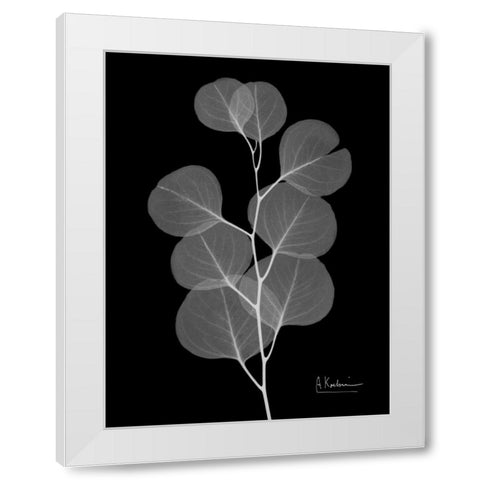 Eucalyptus E196 White Modern Wood Framed Art Print by Koetsier, Albert