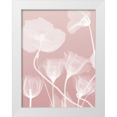 Pink Flora 1 White Modern Wood Framed Art Print by Koetsier, Albert