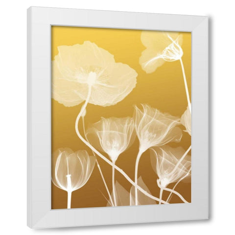 Transparent Flora 1 White Modern Wood Framed Art Print by Koetsier, Albert