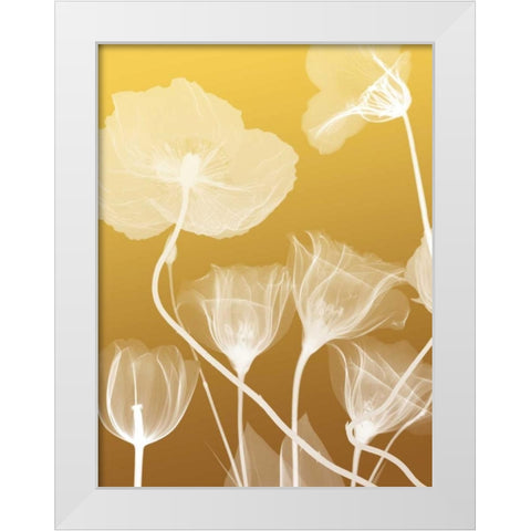 Transparent Flora 1 White Modern Wood Framed Art Print by Koetsier, Albert