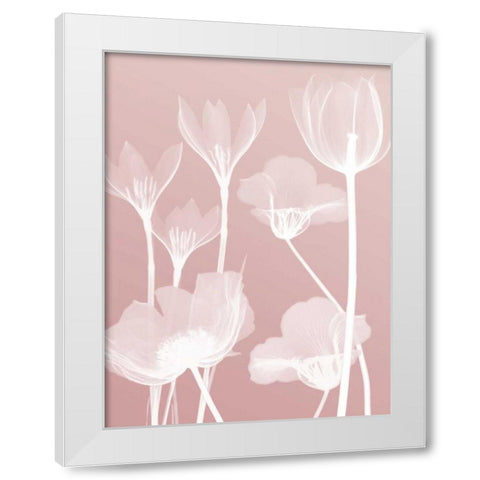 Pink Flora 2  White Modern Wood Framed Art Print by Koetsier, Albert