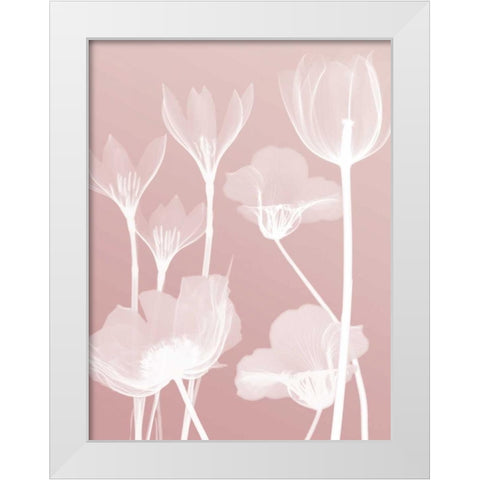 Pink Flora 2  White Modern Wood Framed Art Print by Koetsier, Albert