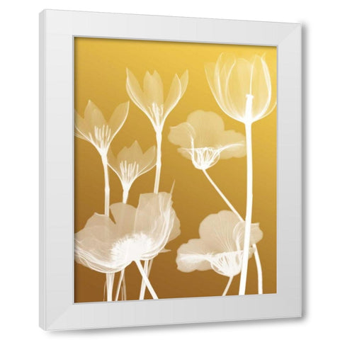 Transparent Flora 2 White Modern Wood Framed Art Print by Koetsier, Albert