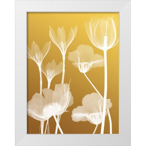 Transparent Flora 2 White Modern Wood Framed Art Print by Koetsier, Albert