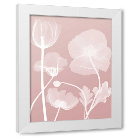 Pink Flora 3 White Modern Wood Framed Art Print by Koetsier, Albert