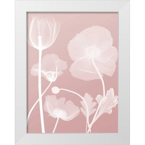 Pink Flora 3 White Modern Wood Framed Art Print by Koetsier, Albert