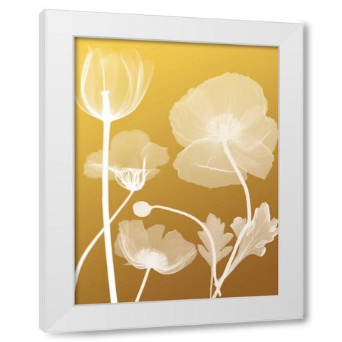 Transparent Flora 3 White Modern Wood Framed Art Print by Koetsier, Albert