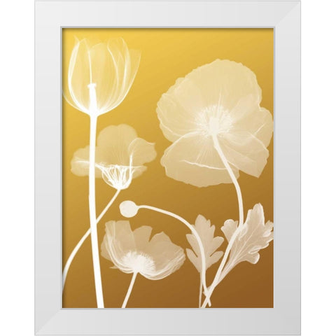 Transparent Flora 3 White Modern Wood Framed Art Print by Koetsier, Albert