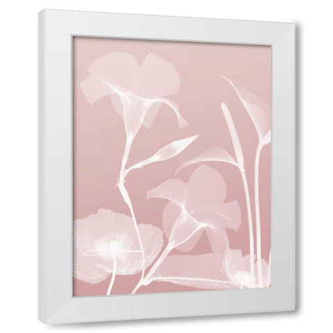 Pink Flora 4 White Modern Wood Framed Art Print by Koetsier, Albert